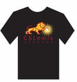 CSLewis Academy